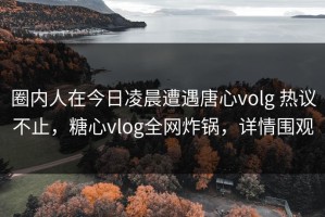 圈内人在今日凌晨遭遇唐心volg 热议不止，糖心vlog全网炸锅，详情围观