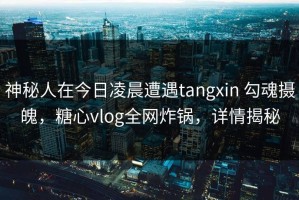 神秘人在今日凌晨遭遇tangxin 勾魂摄魄，糖心vlog全网炸锅，详情揭秘